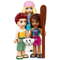 41700 LEGO  Friends Pludmales glempings