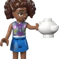 42690 LEGO  Friends Teepidu metsas