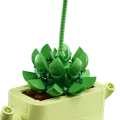 11506 LEGO Botanicals Kiikuvad taimed