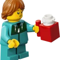 31389 LEGO  Creator Ikooniline vaateratas
