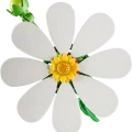 11514 LEGO Botanicals Kosmoseõied