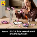10374 LEGO Botanicals Rozā rožu pušķis