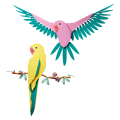 31211 LEGO 31211 Fauna kollektsioon – Aara pa.. V29