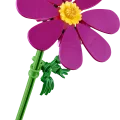 11514 LEGO Botanicals Kosmoseõied