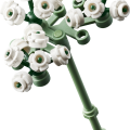 10374 LEGO Botanicals Rozā rožu pušķis