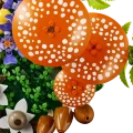 11505 LEGO Botanicals Metsaseened