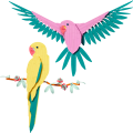 31211 LEGO 31211 Fauna kollektsioon – Aara pa.. V29