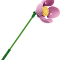 11507 LEGO Botanicals Olivia Rodrigo lillekimp