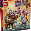 71819 LEGO Ninjago Draakonikivi pühamu