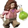 76471 LEGO Harry Potter TM Knockturni allee™ võlupoed