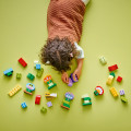 10444 LEGO DUPLO Town Radošais dārzs un ziedi