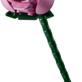 10374 LEGO Botanicals Rozā rožu pušķis