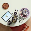21349 LEGO  Ideas Черно-белый кот