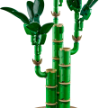 10344 LEGO Botanicals Veiksmes bambuss