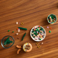 10343 LEGO Botanicals Väike orhidee