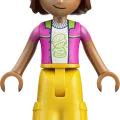 42703 LEGO  Friends Merineitsi Ameerika mäed