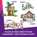 42687 LEGO  Friends Liannas ģimenes māja