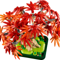 10348 LEGO Botanicals Jaapani punase vahtra bonsaipuu