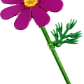11514 LEGO Botanicals Kosmoseõied