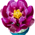 11511 LEGO Botanicals Vesiroosid