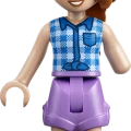 42703 LEGO  Friends Merineitsi Ameerika mäed