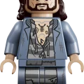 76475 LEGO Harry Potter TM Keelatud mets: Expecto Patronum