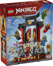 71866 Ninjategelaste väljapanek, 15. aastapäev